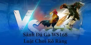 Cách Chơi Đá Gà WS168 Tại PK14 Dễ Trúng Thưởng Cực Đã