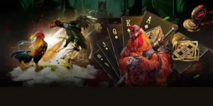 Chi Tiết Cách Chơi Đá Gà GA28 Tại PK14 Cơ Hội Làm Giàu Nhanh