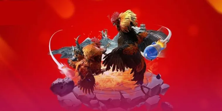 Trải Nghiệm Đá Gà PK14 Đẳng Cấp Số Một Châu Á Thưởng Cực Lớn