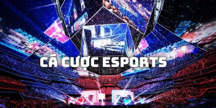 Cách Chơi Thể Thao Điện Tử Tại PK14 Ăn Kèo Esports Cực Kỳ Hấp Dẫn 2 Cách Chơi Thể Thao Điện Tử Tại PK14 Ăn Kèo Esports Cực Kỳ Hấp Dẫn