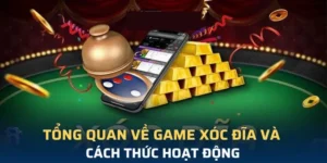 Trò Chơi Xóc Đĩa Tại PK14 Mẹo Bắt Nhịp Cầu Chuẩn Từng Ván